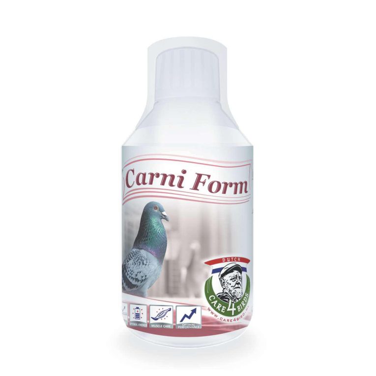 carni-form